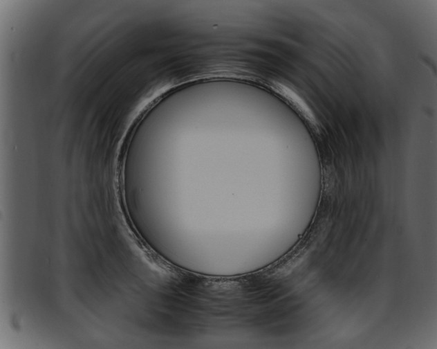 X0000094951043200711291100