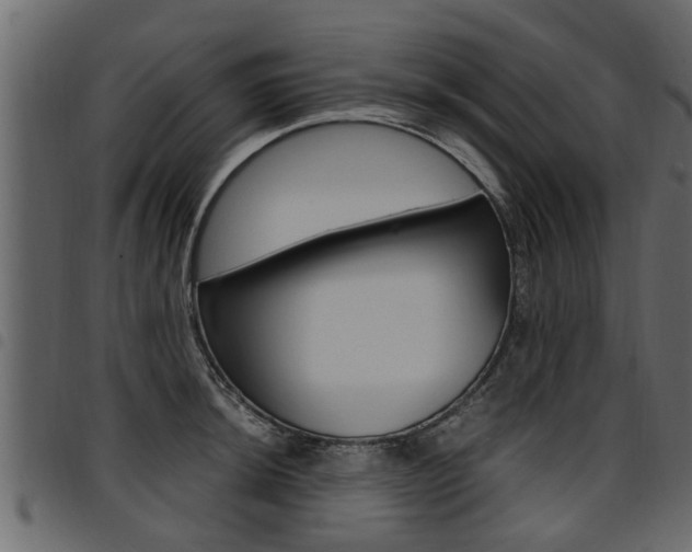 X0000094951044200711291100