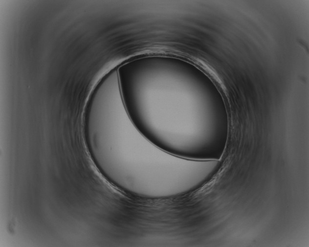 X0000094951045200711291100