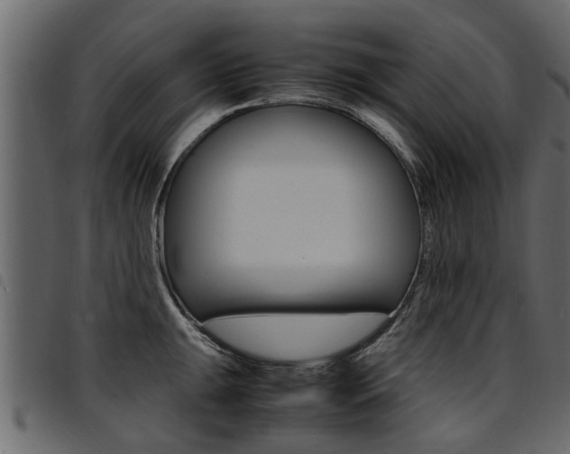 X0000094951047200711291100