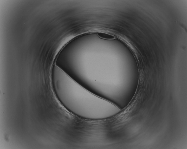 X0000094951048200711291100
