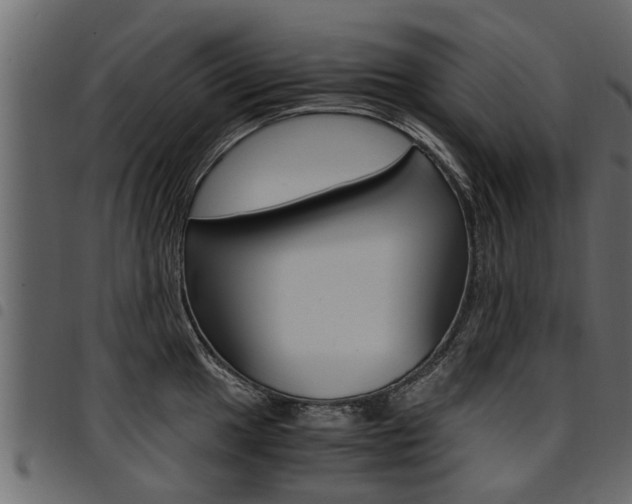 X0000094951049200711291100