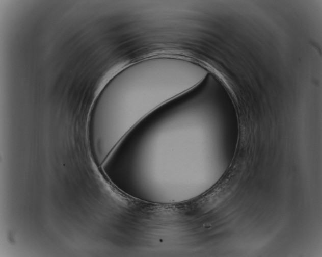 X0000094951050200711291100