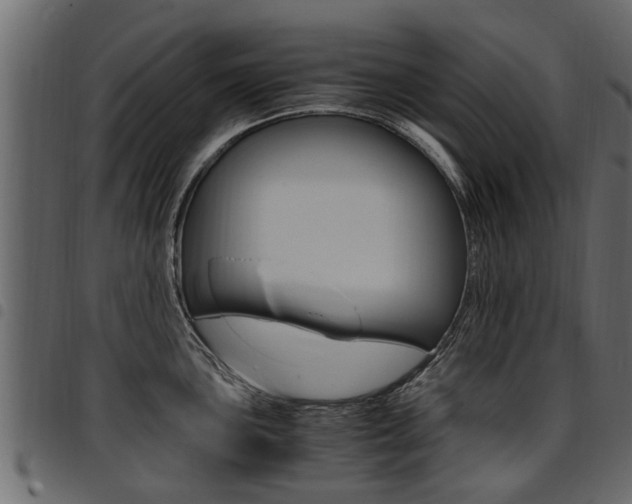 X0000094951051200711291101