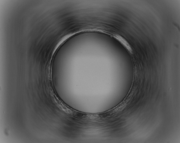 X0000094951052200711291101
