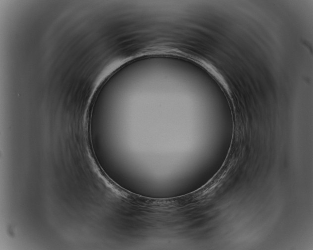 X0000094951053200711291101