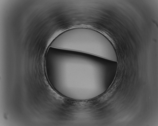 X0000094951054200711291101