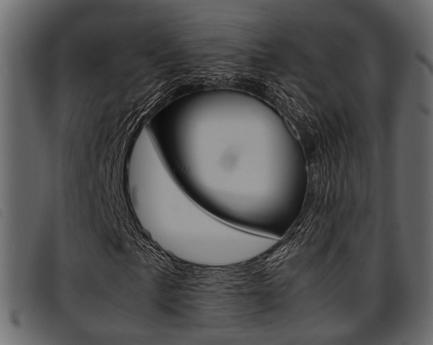 X0000094951057200711291100
