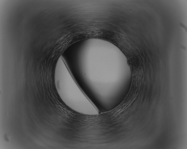 X0000094951058200711291100