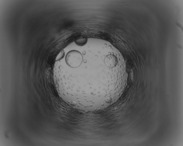 X0000094951059200711291100