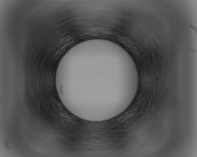 X0000094951060200711291100