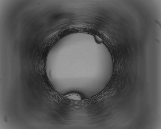 X0000094951062200711291100