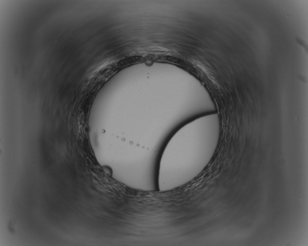 X0000094951063200711291100