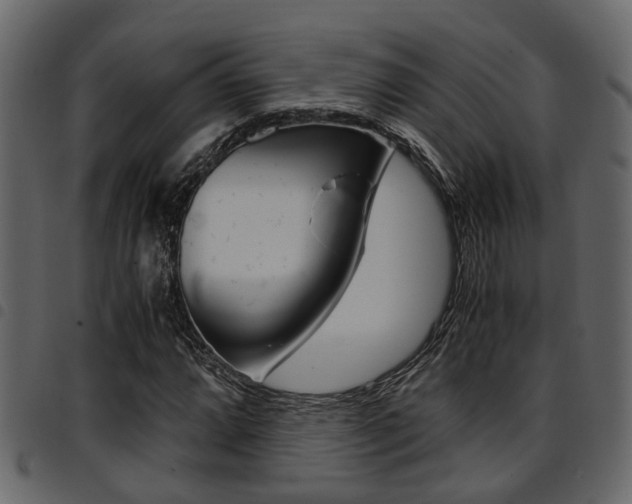 X0000094951064200711291100