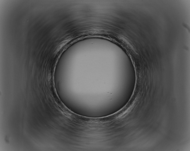 X0000094951065200711291100