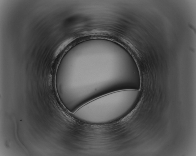 X0000094951066200711291100
