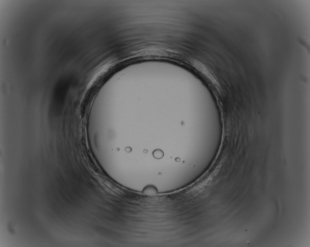 X0000094951067200711291100
