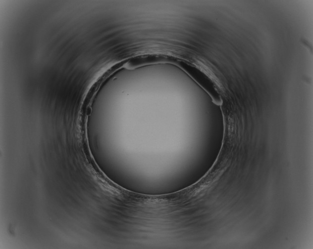X0000094951068200711291100