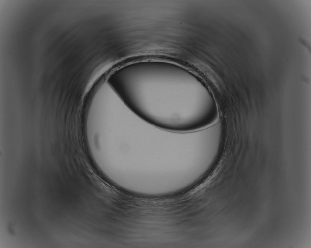X0000094951069200711291100