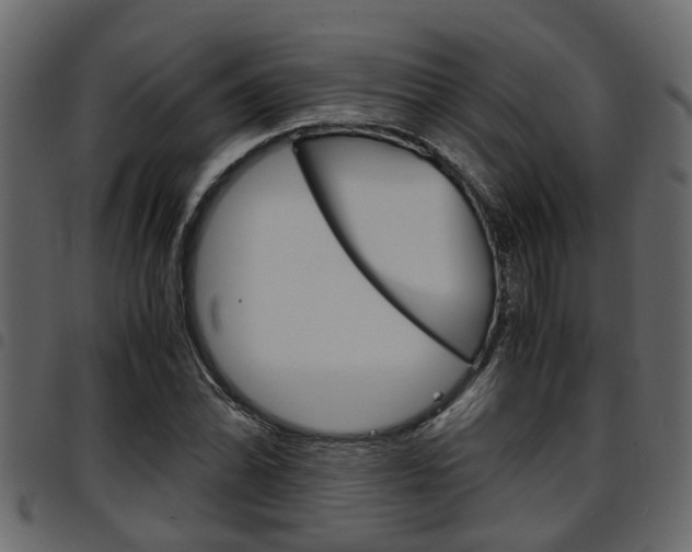 X0000094951070200711291100