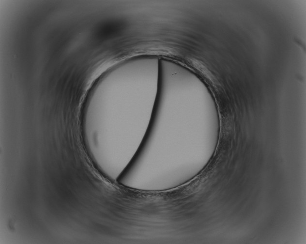 X0000094951071200711291100