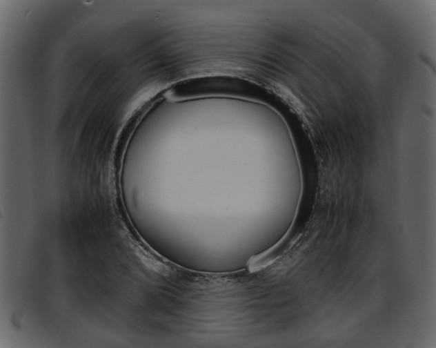 X0000094951072200711291100