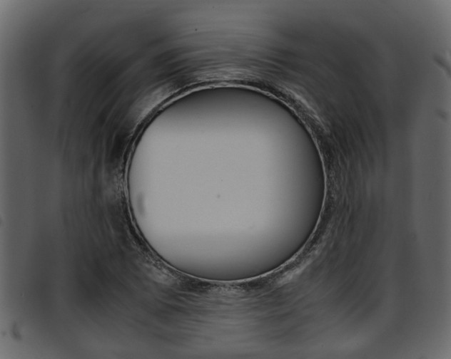 X0000094951073200711291100