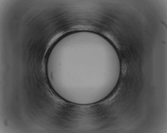 X0000094951074200711291100