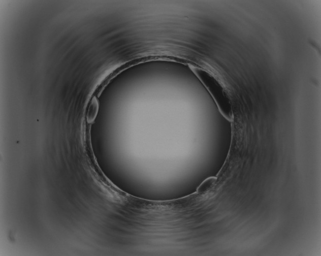 X0000094951076200711291059