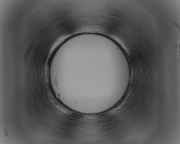 X0000094951078200711291059