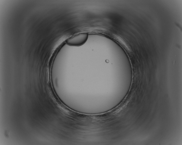 X0000094951079200711291059