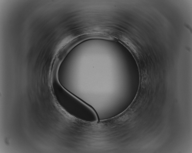 X0000094951080200711291059
