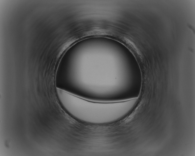 X0000094951081200711291059