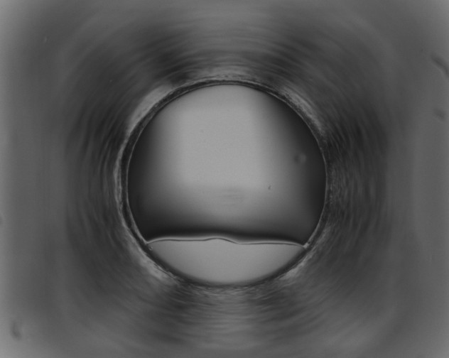 X0000094951082200711291059