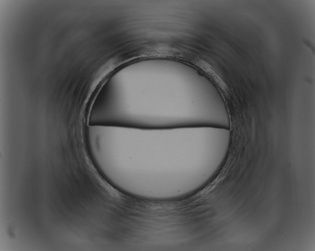 X0000094951083200711291059