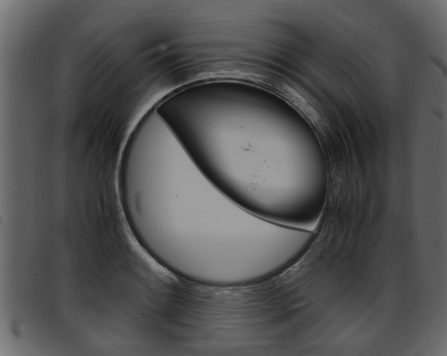X0000094951084200711291059