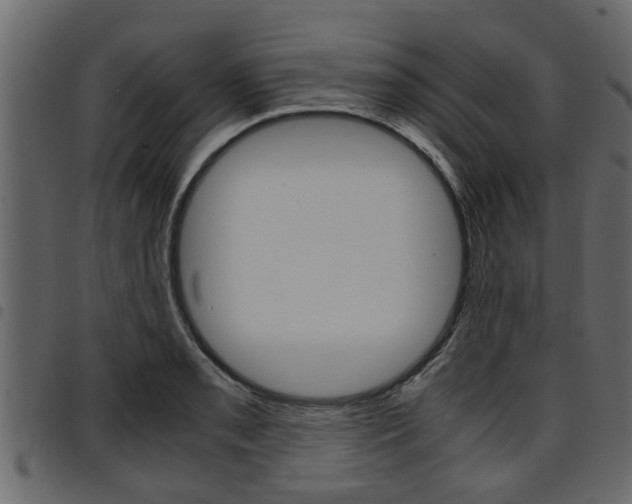 X0000094951085200711291059