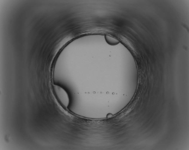 X0000094951087200711291059