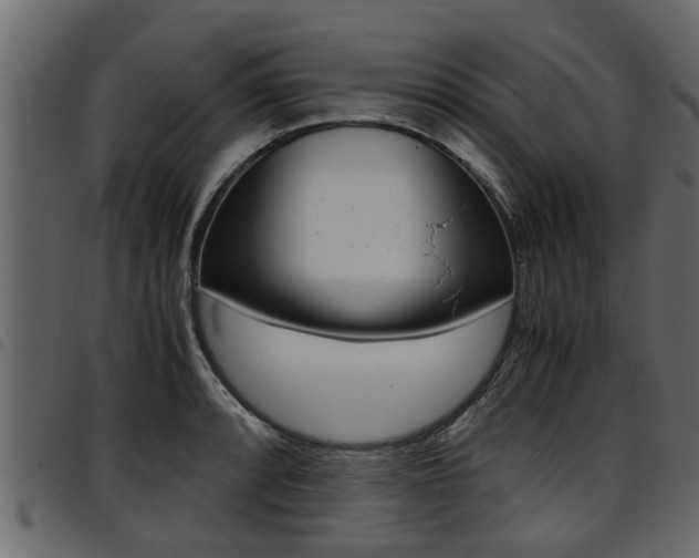 X0000094951088200711291059