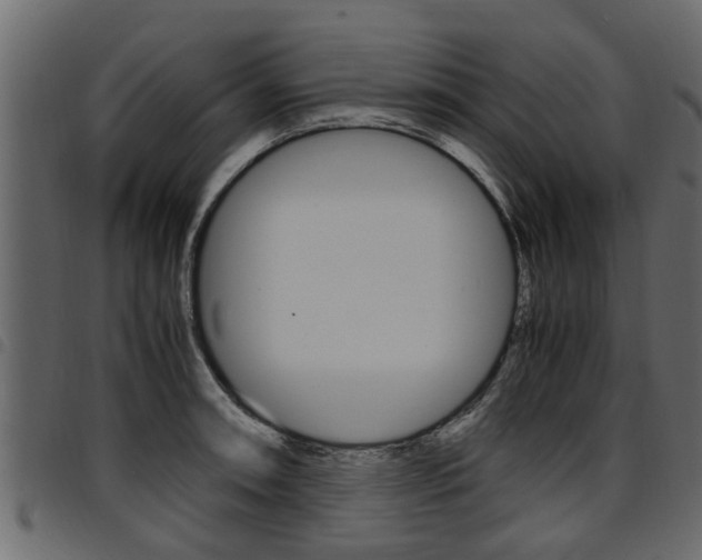 X0000094951090200711291059