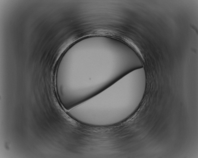 X0000094951091200711291059