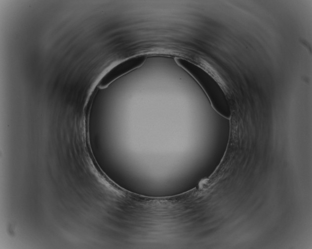 X0000094951092200711291059