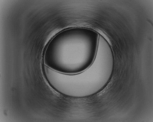 X0000094951093200711291059