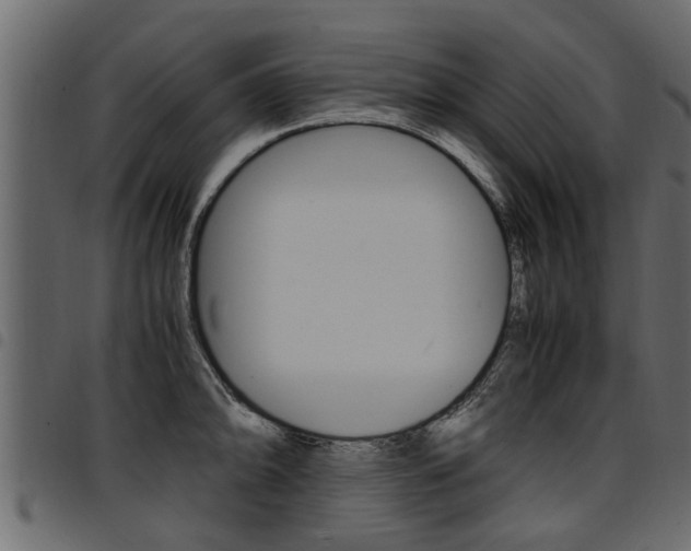 X0000094951094200711291059