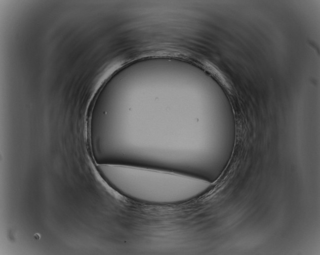 X0000094951095200711291059