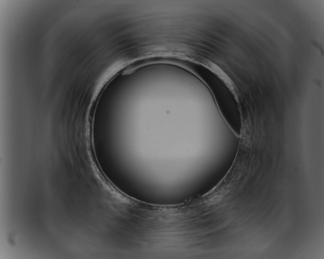 X0000094951096200711291059
