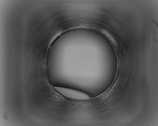 X0000094951097200711291059