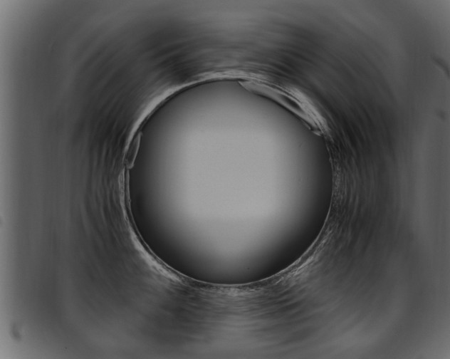 X0000094951100200711291059