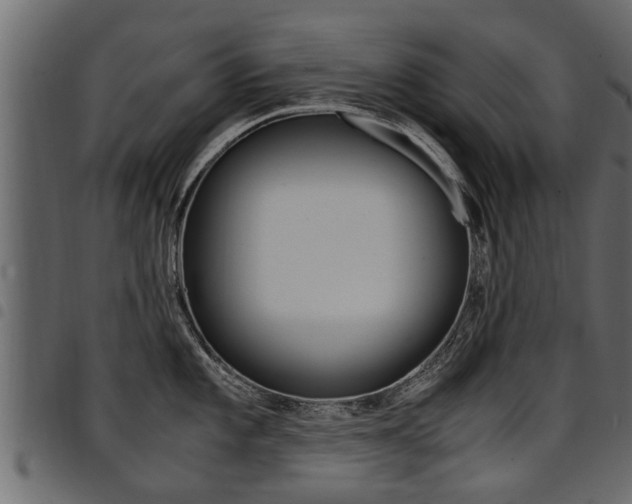 X0000094951101200711291059