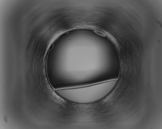 X0000094951102200711291059